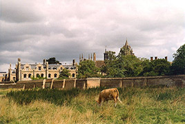 The rear of Peterhouse, Cambridge, taken fom Coe Fen