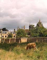 The rear of Peterhouse, Cambridge, taken fom Coe Fen